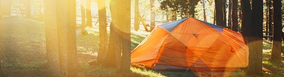 Kampeertrends 2020 en de leukste campings!