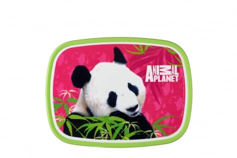 Mepal Lunchbox - Animal Planet Panda