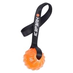 Icepeak Pet Gel Ball With Handle