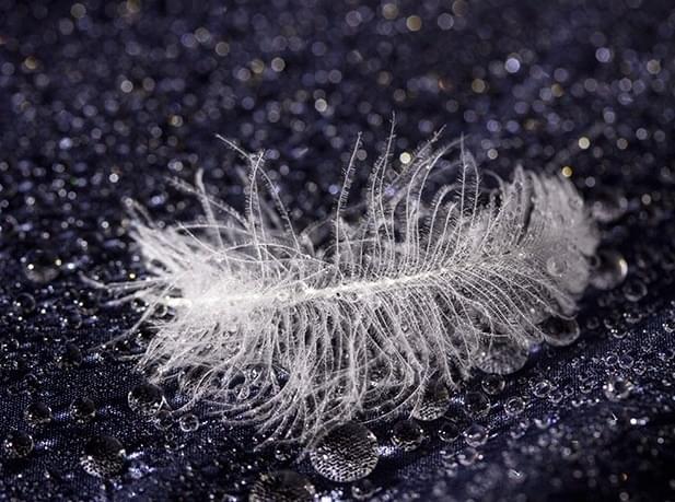 7005_een-donsjas-wassen-doe-je-zo_(1)