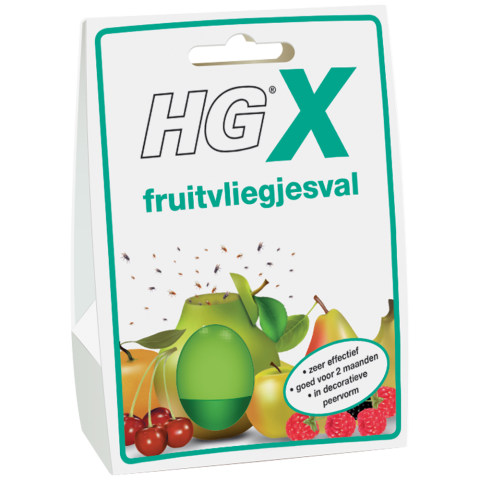 HG - fruitvliegjesval