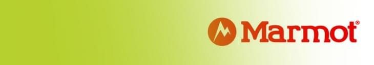 Review - Marmot Limelight 4P