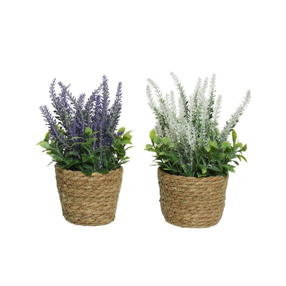 Decoris - Decoratie Lavendel in Pot Assortie