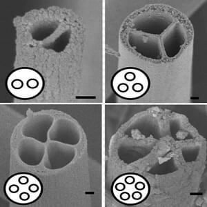 1066_dankzij-de-holle-vezels-hebben-synthetische-slaapzakken-een-betrouwbare-isolerende-werking_(1)