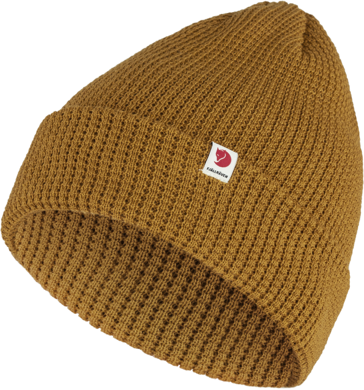 Acorn