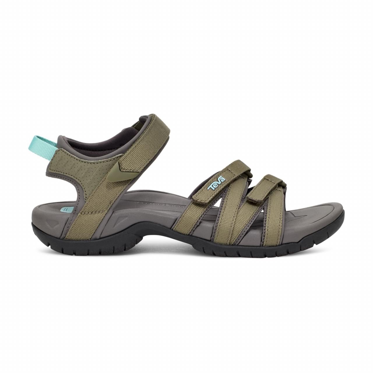 Burnt Olive