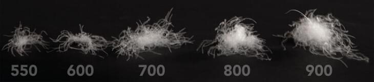 1068_met-cuin-ofwel-downvulling-word-de-isolerende-kracht-van-dons-veertjes-bepaald