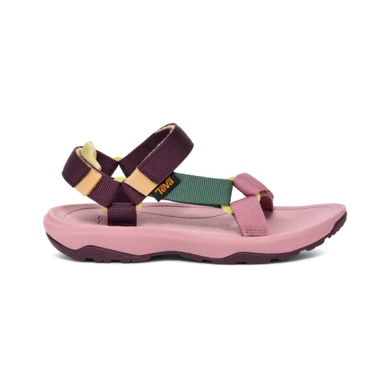 Eggplant Multi
