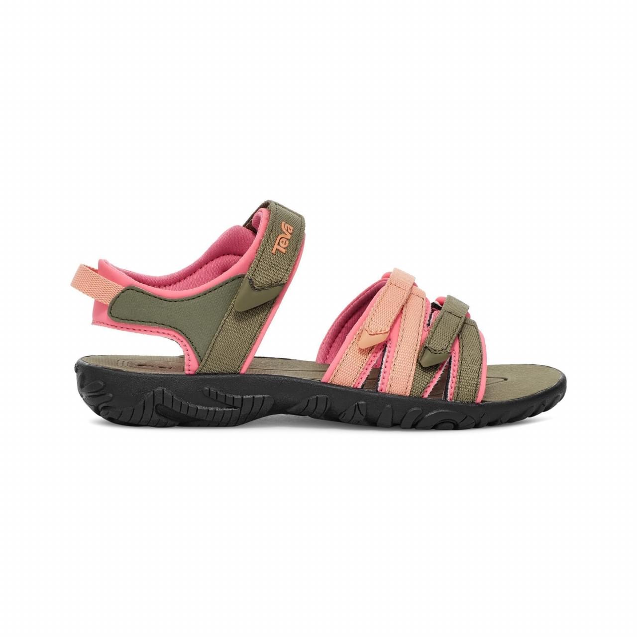 Burnt Olive