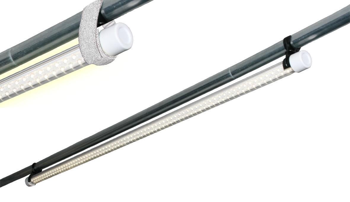 Crusader - LED tentlamp buisvorm Insight